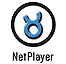NetPlayer